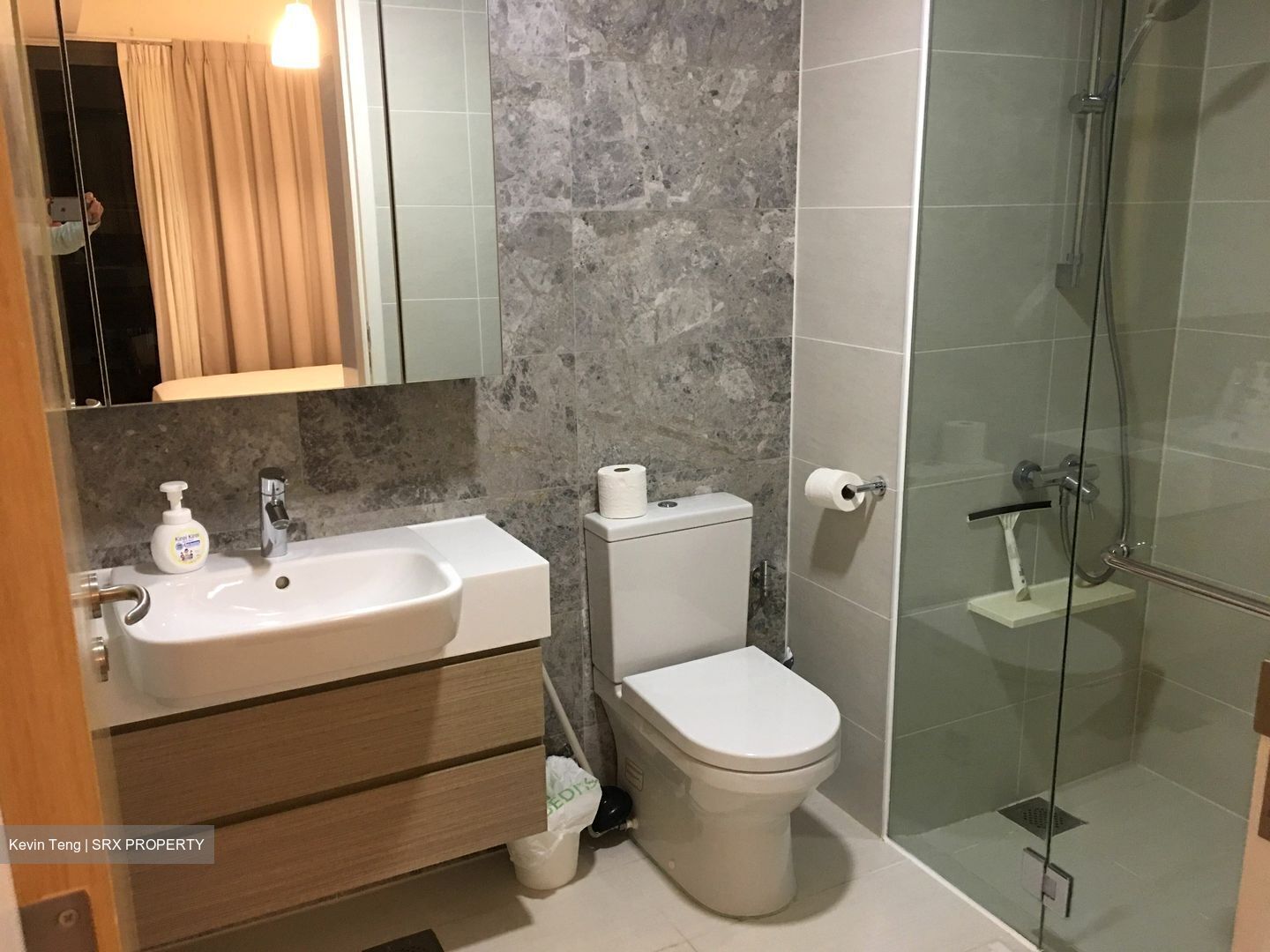 The Lakefront Residences (D22), Condominium #466562241